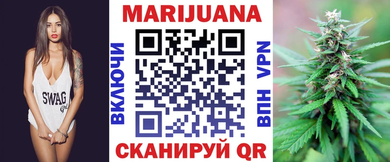 как найти закладки  Снежногорск  Конопля индика 